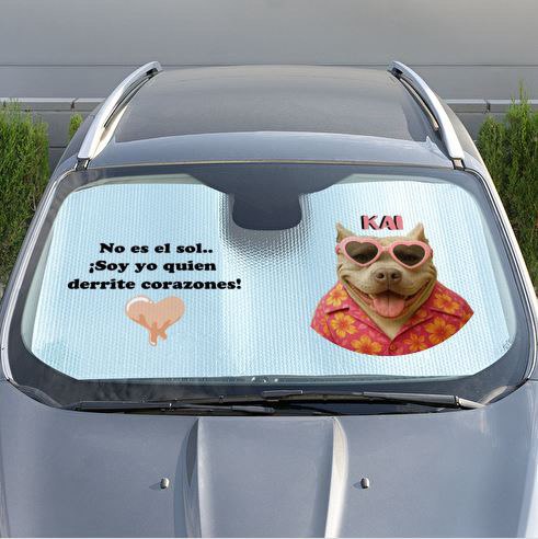 Para sol personalizado