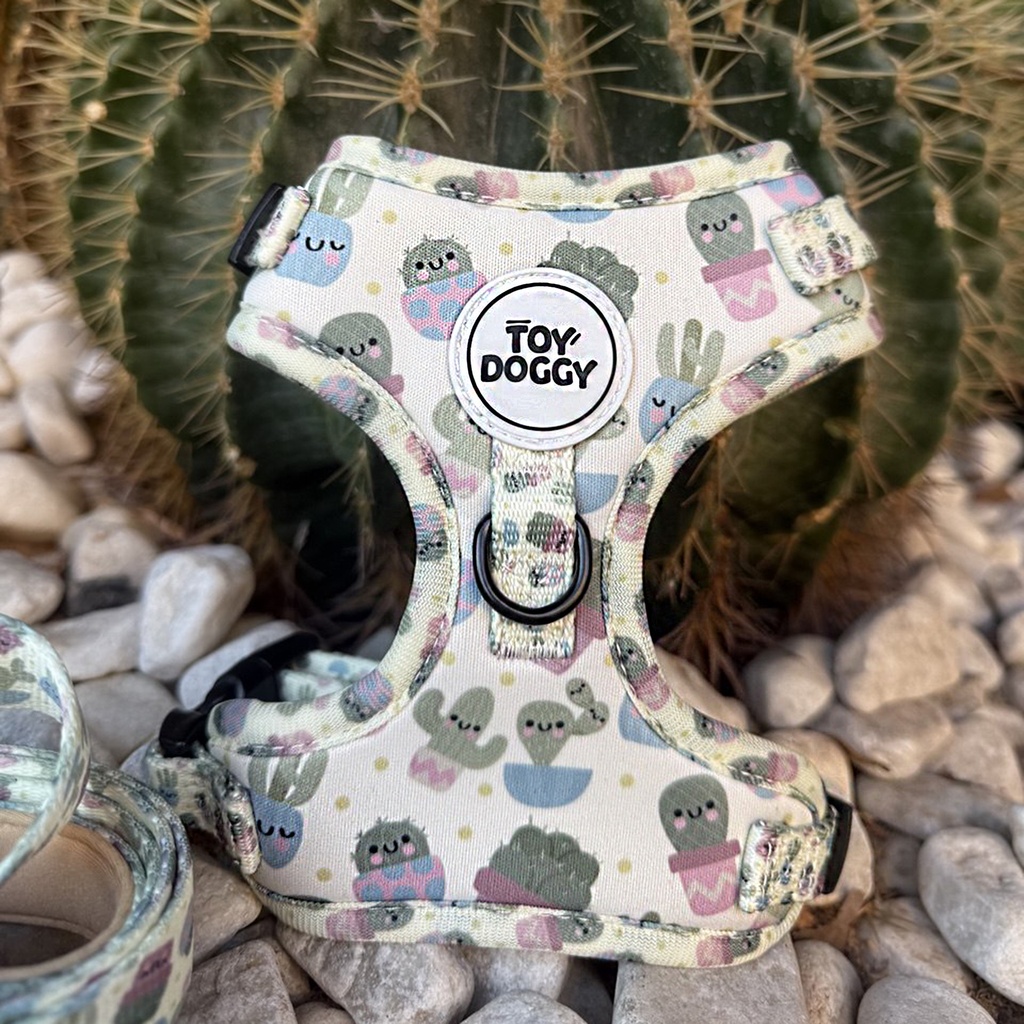 Arnés Cactus